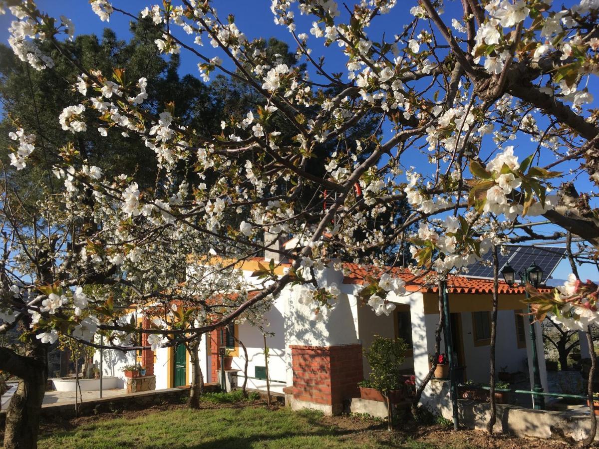 Casas De Campo Em Cerejal Villa Fundão Esterno foto